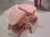 1,127 Miles just for a roof rack-primanti.jpg