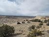 January run along the Gunnison River in CO-thehuntingground4w-062.jpg