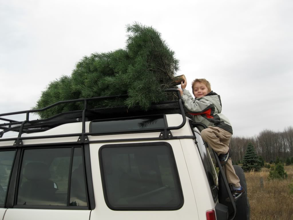 Name:  IMG_1335.jpg
Views: 264
Size:  92.9 KB