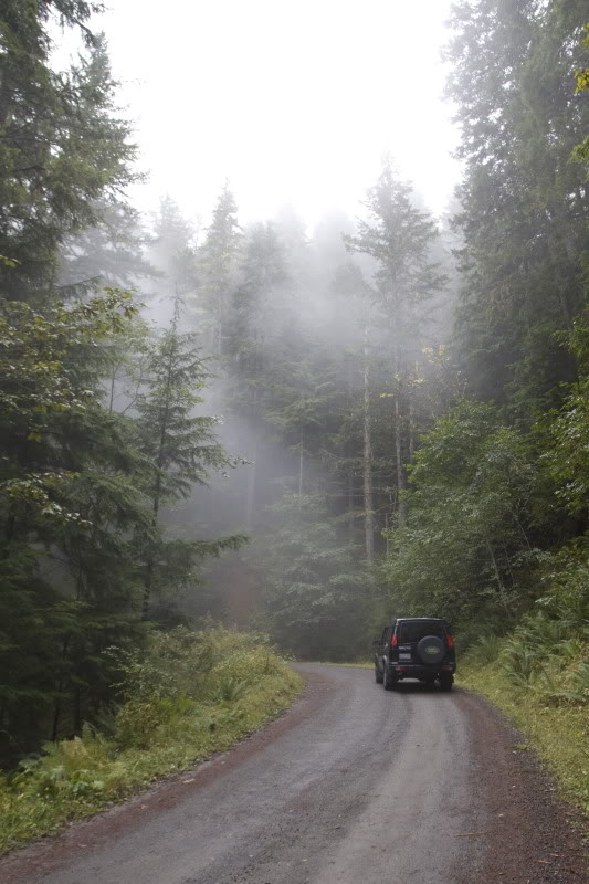 Name:  IMG_7137.jpg
Views: 84
Size:  84.8 KB