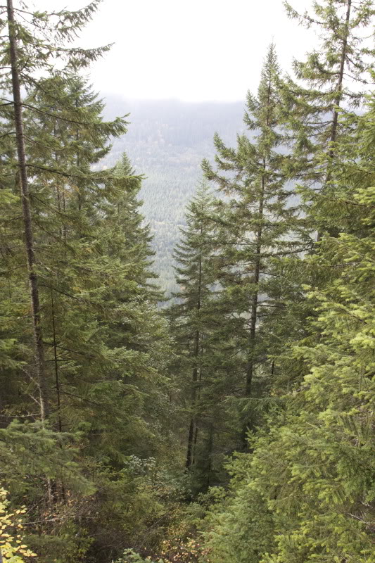 Name:  IMG_7140.jpg
Views: 47
Size:  151.3 KB