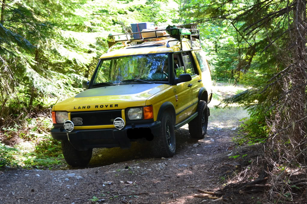 Name:  DSC_0010-1.jpg
Views: 81
Size:  299.7 KB