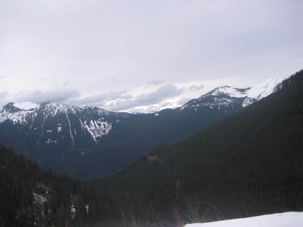 Name:  IMG_3960.jpg
Views: 19
Size:  59.3 KB