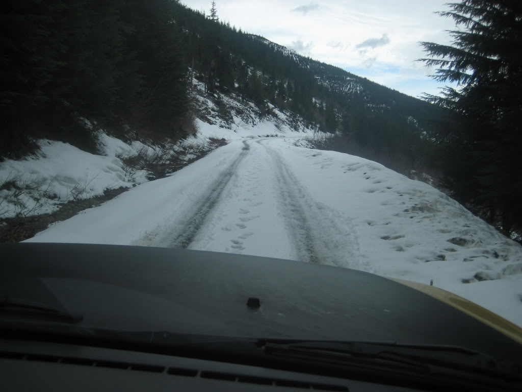 Name:  IMG_3956.jpg
Views: 21
Size:  80.1 KB