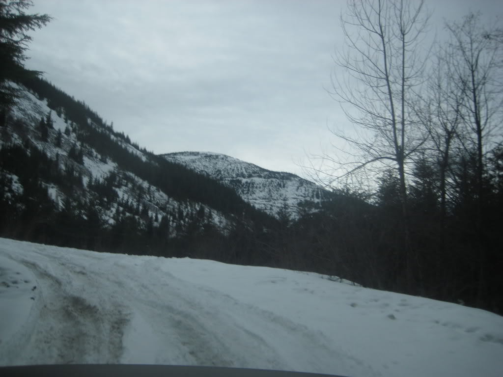 Name:  IMG_3953.jpg
Views: 20
Size:  85.1 KB