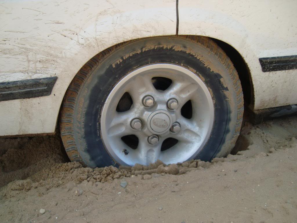 Name: DSC06281.jpg
Views: 50
Size: 95.8 KB