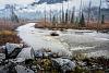 All Weather Tires - BC Canada-dsc_0249.jpg