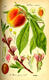 Colorado1924's Avatar